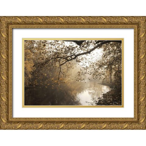 Morning Rays at Swatara Creek Gold Ornate Wood Framed Art Print with Double Matting by Deiter, Lori