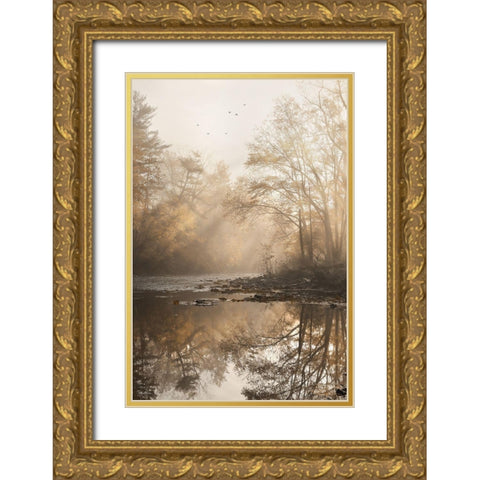 Gold Reflections Gold Ornate Wood Framed Art Print with Double Matting by Deiter, Lori