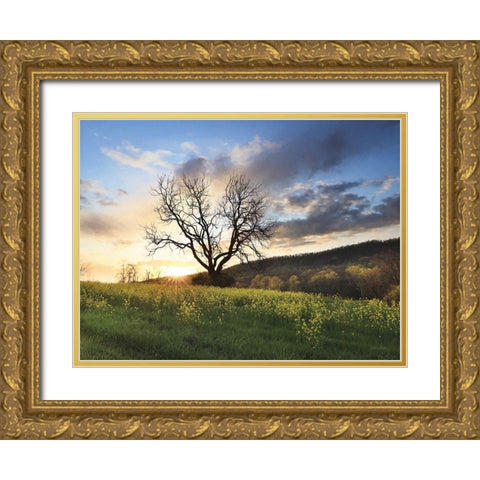 Clark Valley Sunset Gold Ornate Wood Framed Art Print with Double Matting by Deiter, Lori