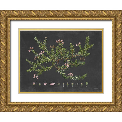 Alpine Azalea Gold Ornate Wood Framed Art Print with Double Matting by Lettered and Lined