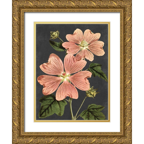Pink Anemone Gold Ornate Wood Framed Art Print with Double Matting by Lettered And Lined
