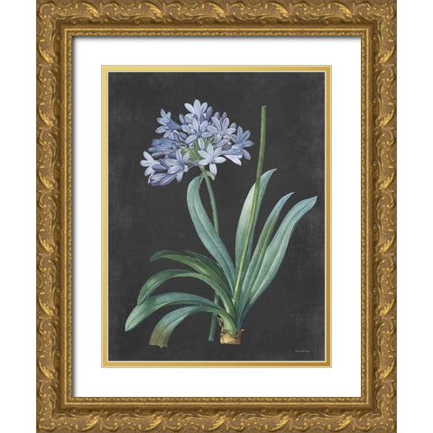 Bulb Study Gold Ornate Wood Framed Art Print with Double Matting by Lettered And Lined