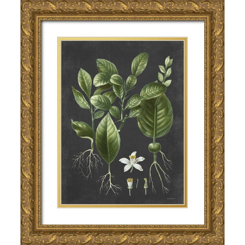 Citrus Botanical Gold Ornate Wood Framed Art Print with Double Matting by Lettered and Lined