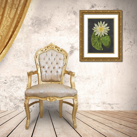 Lily Gold Ornate Wood Framed Art Print with Double Matting by Lettered and Lined