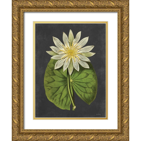 Lily Gold Ornate Wood Framed Art Print with Double Matting by Lettered and Lined