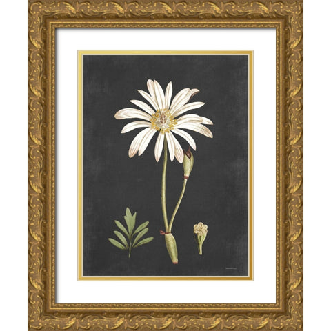 Naturalist Bloom Study Gold Ornate Wood Framed Art Print with Double Matting by Lettered And Lined