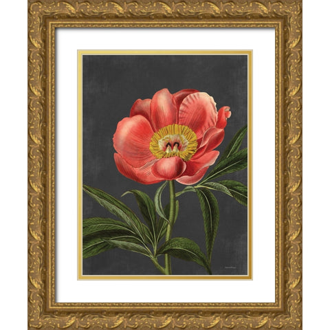 Peony Gold Ornate Wood Framed Art Print with Double Matting by Lettered and Lined
