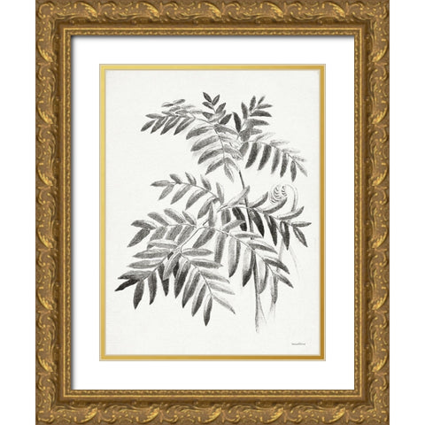 Leaf Illustration I Gold Ornate Wood Framed Art Print with Double Matting by Lettered And Lined