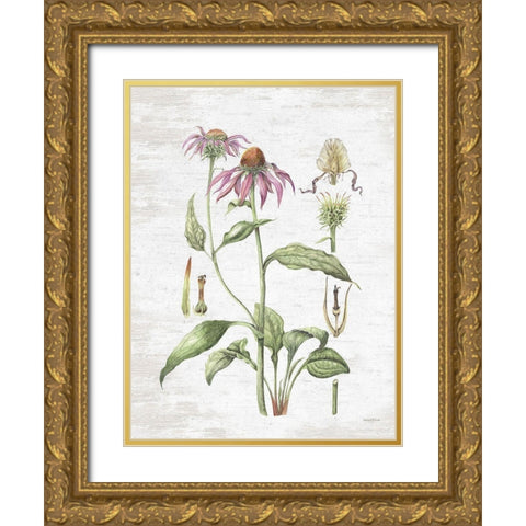 Quiet Meadow Botanical Gold Ornate Wood Framed Art Print with Double Matting by Lettered and Lined