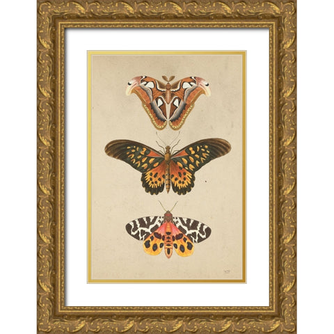 Butterfly and Moths Gold Ornate Wood Framed Art Print with Double Matting by Lux + Me Designs