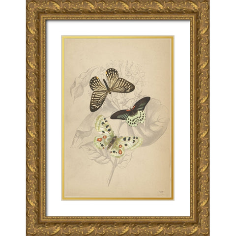 Butterfly Trio Gold Ornate Wood Framed Art Print with Double Matting by Lux + Me Designs