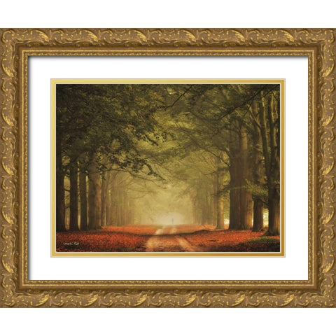 Misty Walk Gold Ornate Wood Framed Art Print with Double Matting by Podt, Martin