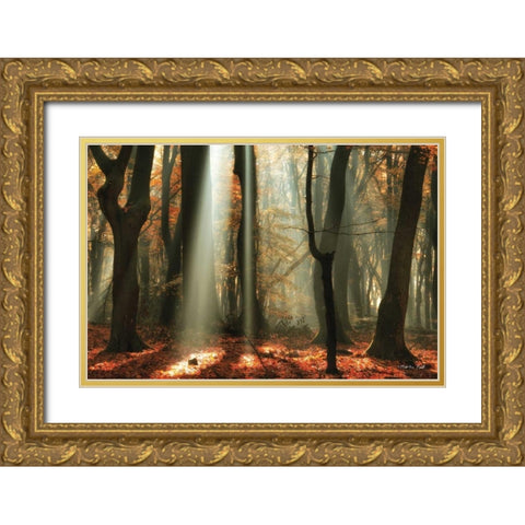 Beam Me Up Gold Ornate Wood Framed Art Print with Double Matting by Podt, Martin