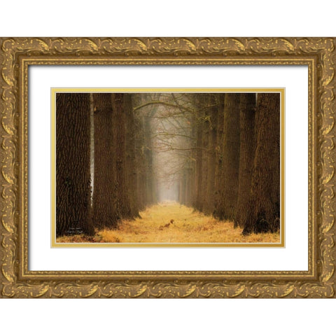 Yellow Path Gold Ornate Wood Framed Art Print with Double Matting by Podt, Martin