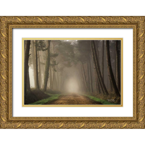 Misty Morning Gold Ornate Wood Framed Art Print with Double Matting by Podt, Martin