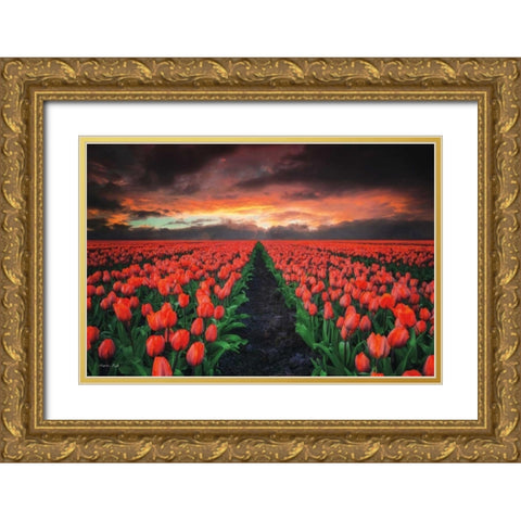 Endless Fields Gold Ornate Wood Framed Art Print with Double Matting by Podt, Martin