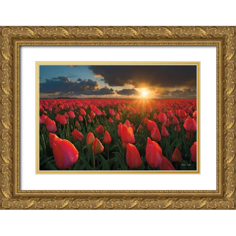 Tulips at Sunset Gold Ornate Wood Framed Art Print with Double Matting by Podt, Martin