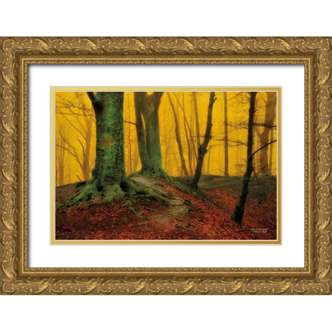 Heart of the Forest Gold Ornate Wood Framed Art Print with Double Matting by Podt, Martin