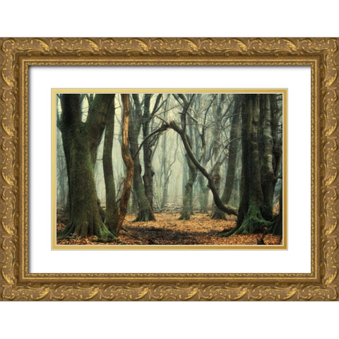 Broken Gold Ornate Wood Framed Art Print with Double Matting by Podt, Martin