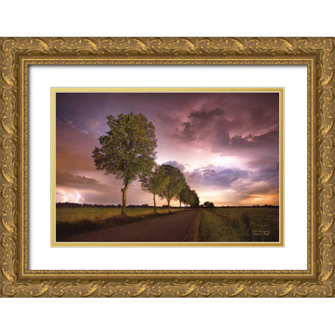 Trees and Lightning Gold Ornate Wood Framed Art Print with Double Matting by Podt, Martin