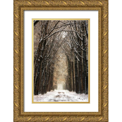Winter Gold Ornate Wood Framed Art Print with Double Matting by Podt, Martin