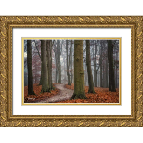 Autumn Path Gold Ornate Wood Framed Art Print with Double Matting by Podt, Martin