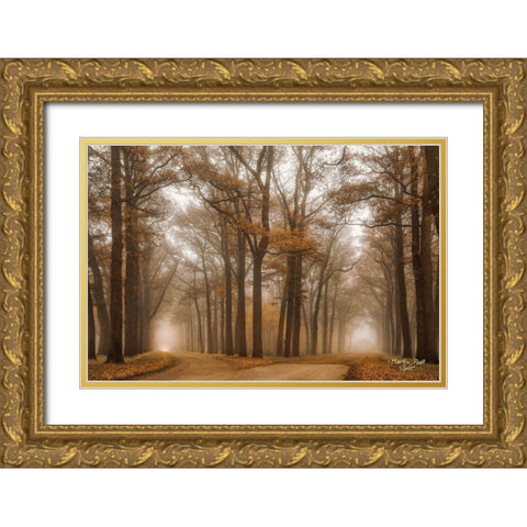 Split Gold Ornate Wood Framed Art Print with Double Matting by Podt, Martin
