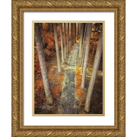 A Magical Flight Gold Ornate Wood Framed Art Print with Double Matting by Podt, Martin