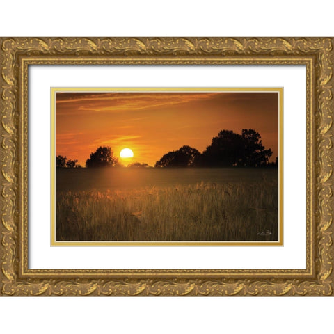Fields of Gold Gold Ornate Wood Framed Art Print with Double Matting by Podt, Martin