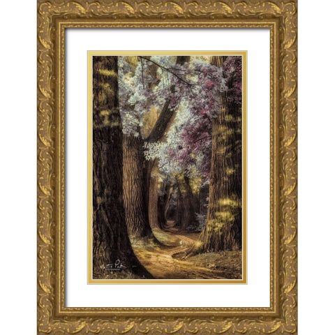 Fluffy Road Gold Ornate Wood Framed Art Print with Double Matting by Podt, Martin