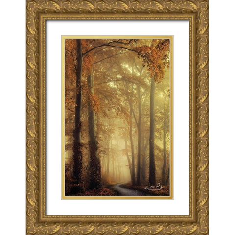 The Path of Liberation Gold Ornate Wood Framed Art Print with Double Matting by Podt, Martin