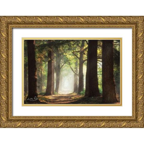 Fresh Green Forest Gold Ornate Wood Framed Art Print with Double Matting by Podt, Martin