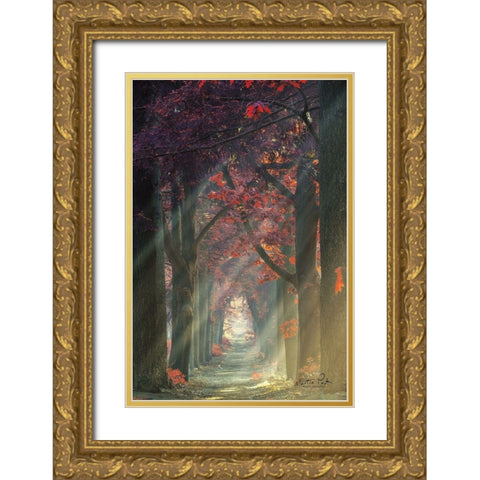 Path of Happiness Gold Ornate Wood Framed Art Print with Double Matting by Podt, Martin