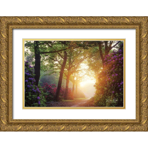 Color Overdose Gold Ornate Wood Framed Art Print with Double Matting by Podt, Martin