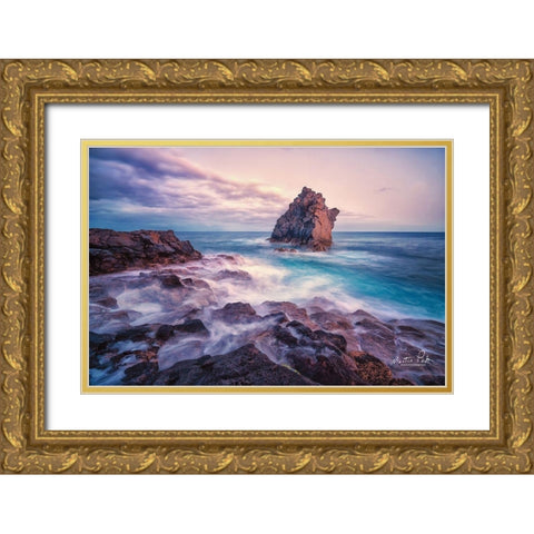 The Rock     Gold Ornate Wood Framed Art Print with Double Matting by Podt, Martin