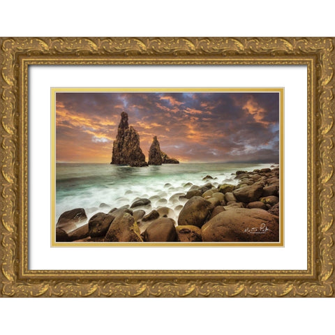 Standing Strong   Gold Ornate Wood Framed Art Print with Double Matting by Podt, Martin