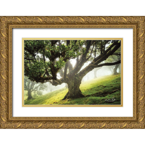 King of the Forest     Gold Ornate Wood Framed Art Print with Double Matting by Podt, Martin