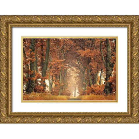Follow Your Own Way Gold Ornate Wood Framed Art Print with Double Matting by Podt, Martin