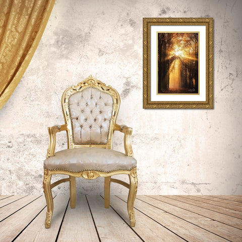 Sunburst     Gold Ornate Wood Framed Art Print with Double Matting by Podt, Martin