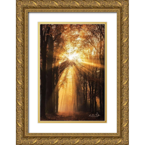 Sunburst     Gold Ornate Wood Framed Art Print with Double Matting by Podt, Martin