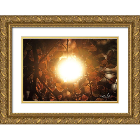 Into the Sun Gold Ornate Wood Framed Art Print with Double Matting by Podt, Martin