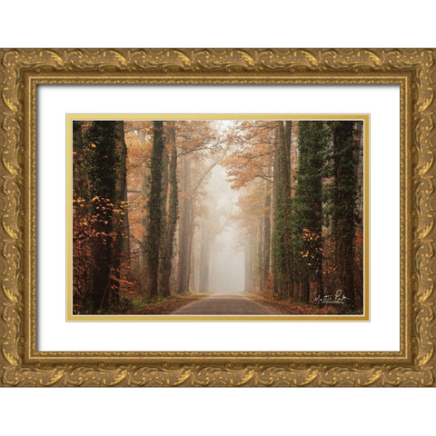 Foggy Autumn Road   Gold Ornate Wood Framed Art Print with Double Matting by Podt, Martin