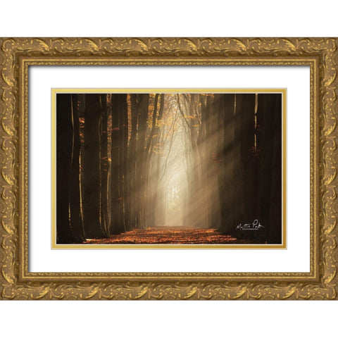 Classic Shot   Gold Ornate Wood Framed Art Print with Double Matting by Podt, Martin