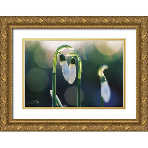 Snowdrops I  Gold Ornate Wood Framed Art Print with Double Matting by Podt, Martin
