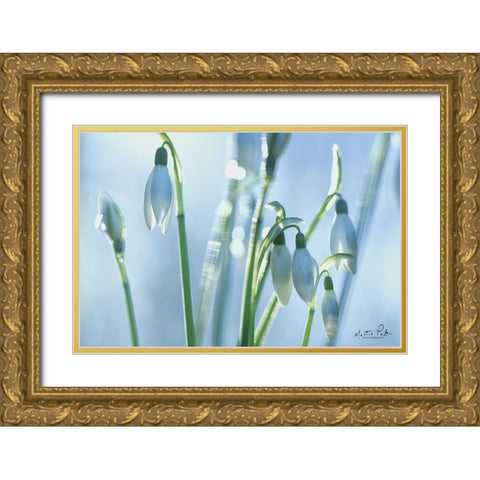 Couple of Snowdrops  Gold Ornate Wood Framed Art Print with Double Matting by Podt, Martin