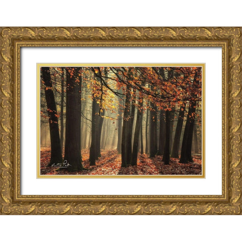 Bunch of Trees Gold Ornate Wood Framed Art Print with Double Matting by Podt, Martin
