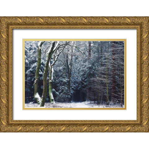 Gate to the Dark World Gold Ornate Wood Framed Art Print with Double Matting by Podt, Martin