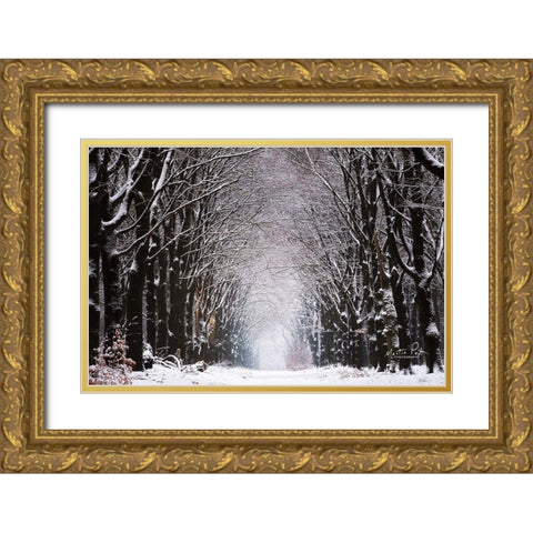 Winter Tunnel Gold Ornate Wood Framed Art Print with Double Matting by Podt, Martin