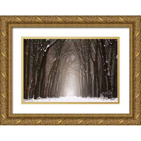 Lochem in Winter Gold Ornate Wood Framed Art Print with Double Matting by Podt, Martin