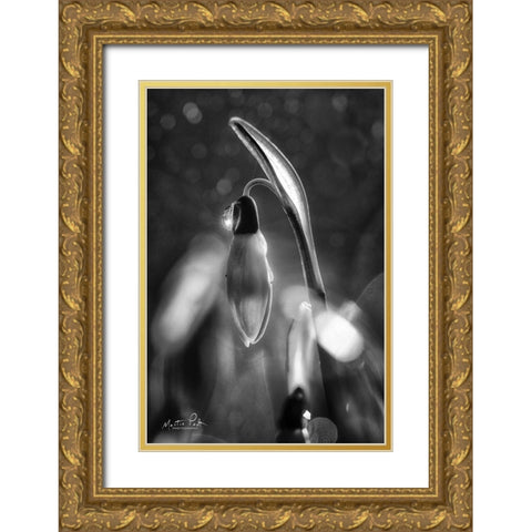 Snowdrops in Black and White Gold Ornate Wood Framed Art Print with Double Matting by Podt, Martin
